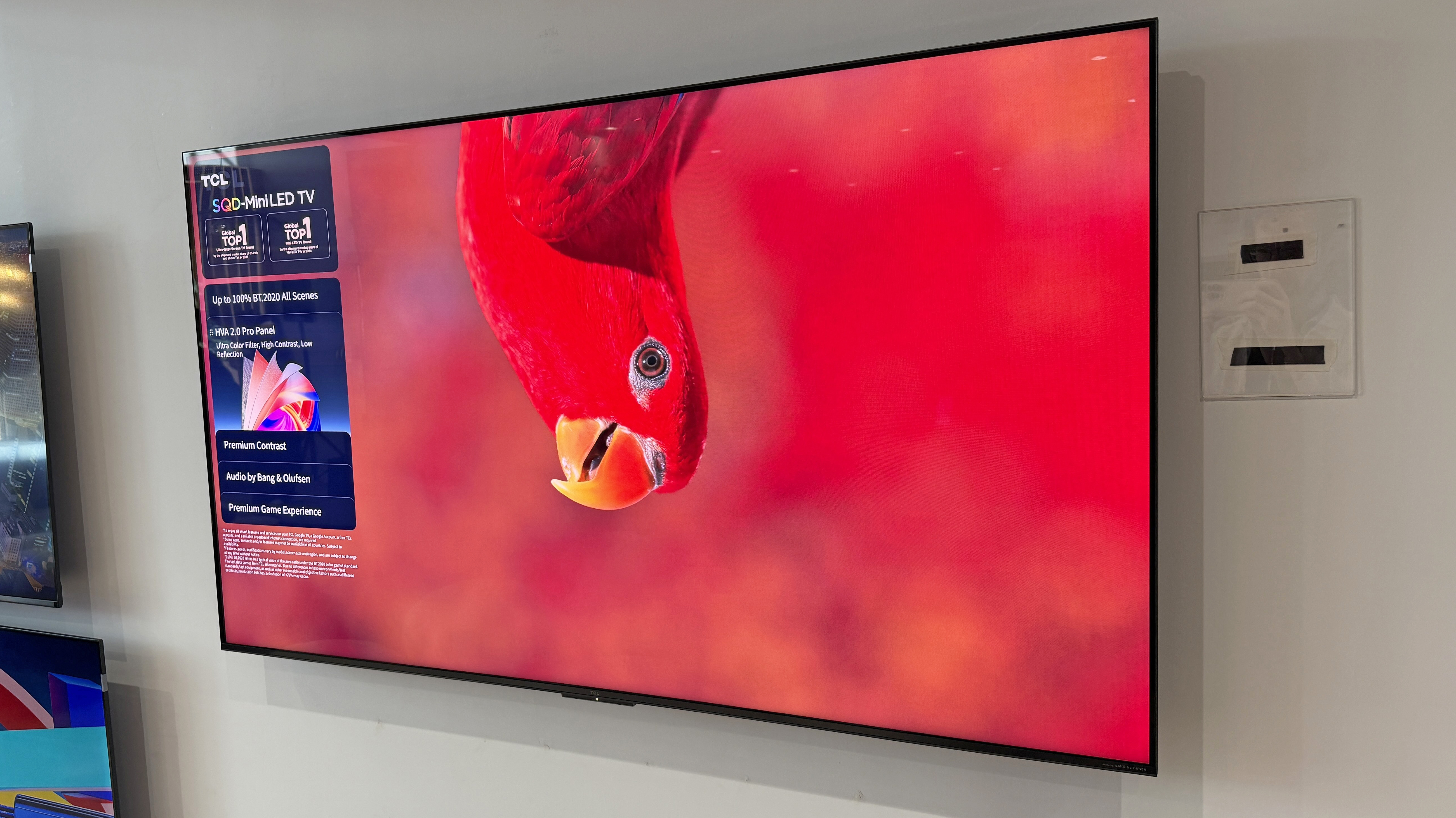 The TCL C7L TV at a launch event, with an image of a red parrot hanging down from the top of the screen, against a very red background, showing strong color depth in the TV
