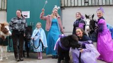 Panto1.jpg
