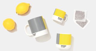 Pantone color of the year mugs