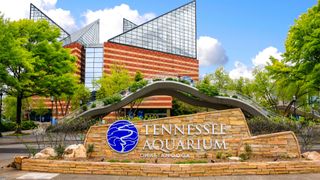 Tennessee Aquarium, Tennessee