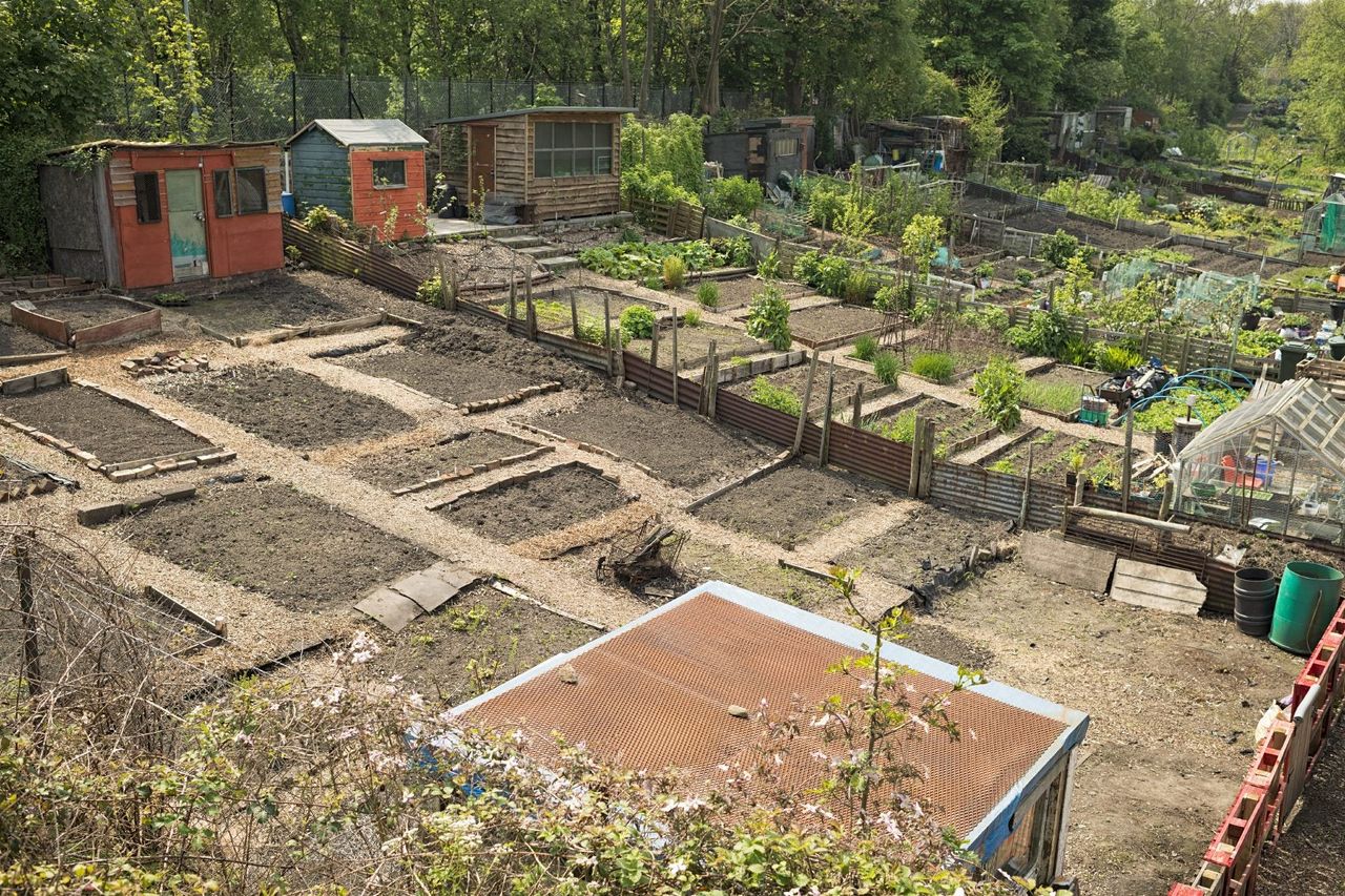 Vacant Lots In A Large Garden