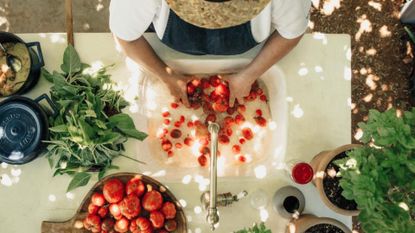 A chef is captured from above wearing a rattan hat while rinsing fresh tomatoes under the water. All around them are more tomatoes, basil plants, and herbs.