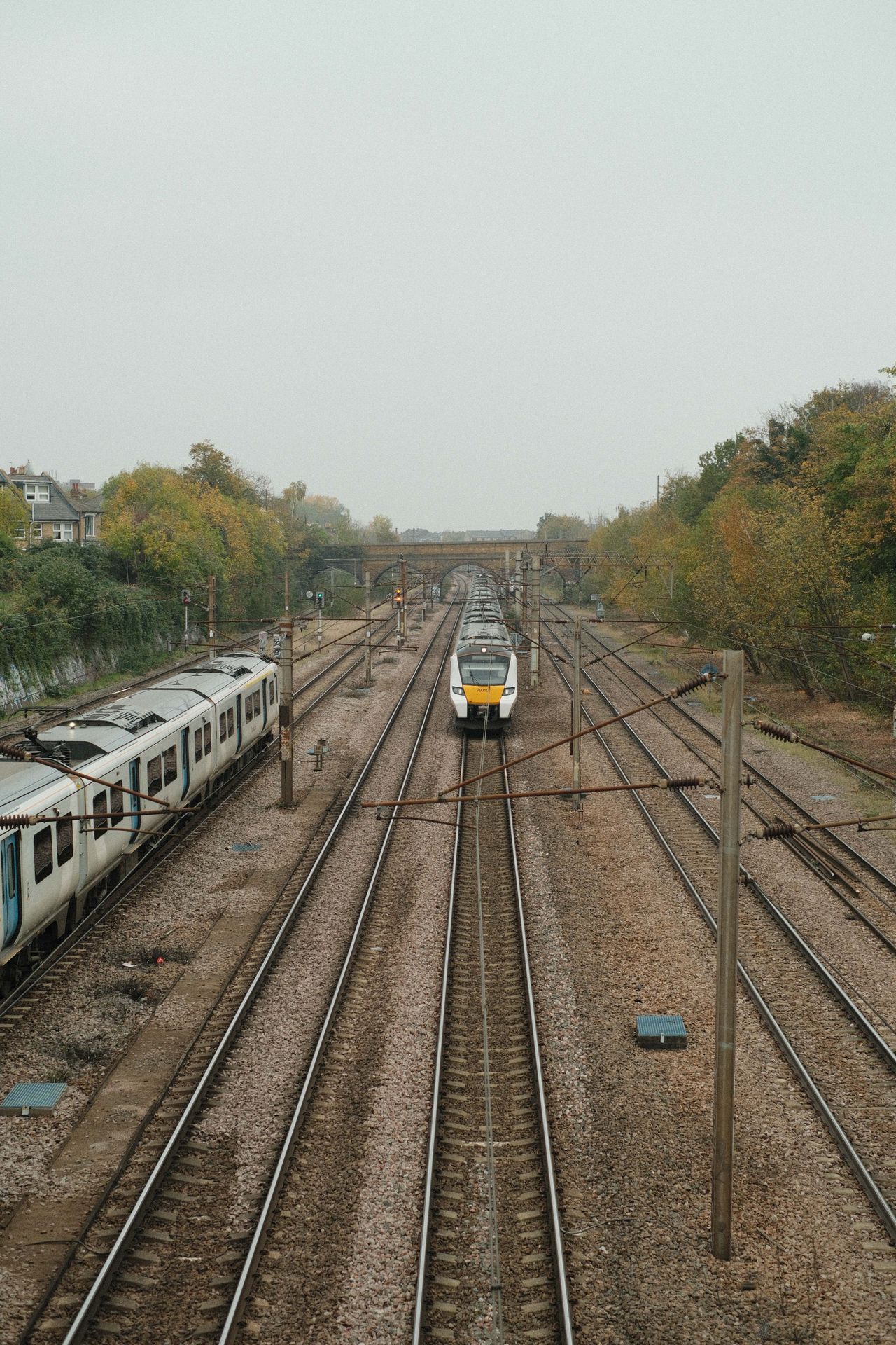 A train travelling along a long straight train track flanked by trees