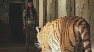 Issa Lopez directed Tigers Are Not Afraid.