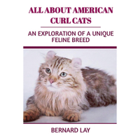 All About American Curl Cats | Amazon