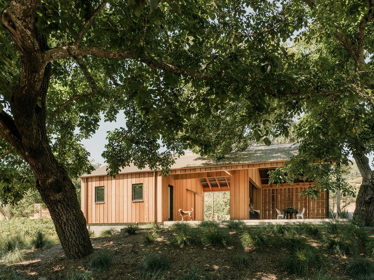 wine country barn hero exterior among leaves