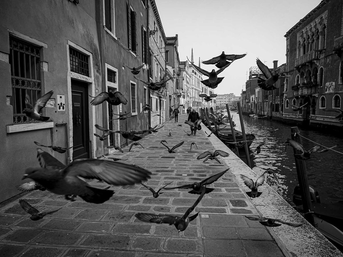 Image from the SheClicks exhibition at the Photography &amp; Video SHow 2025