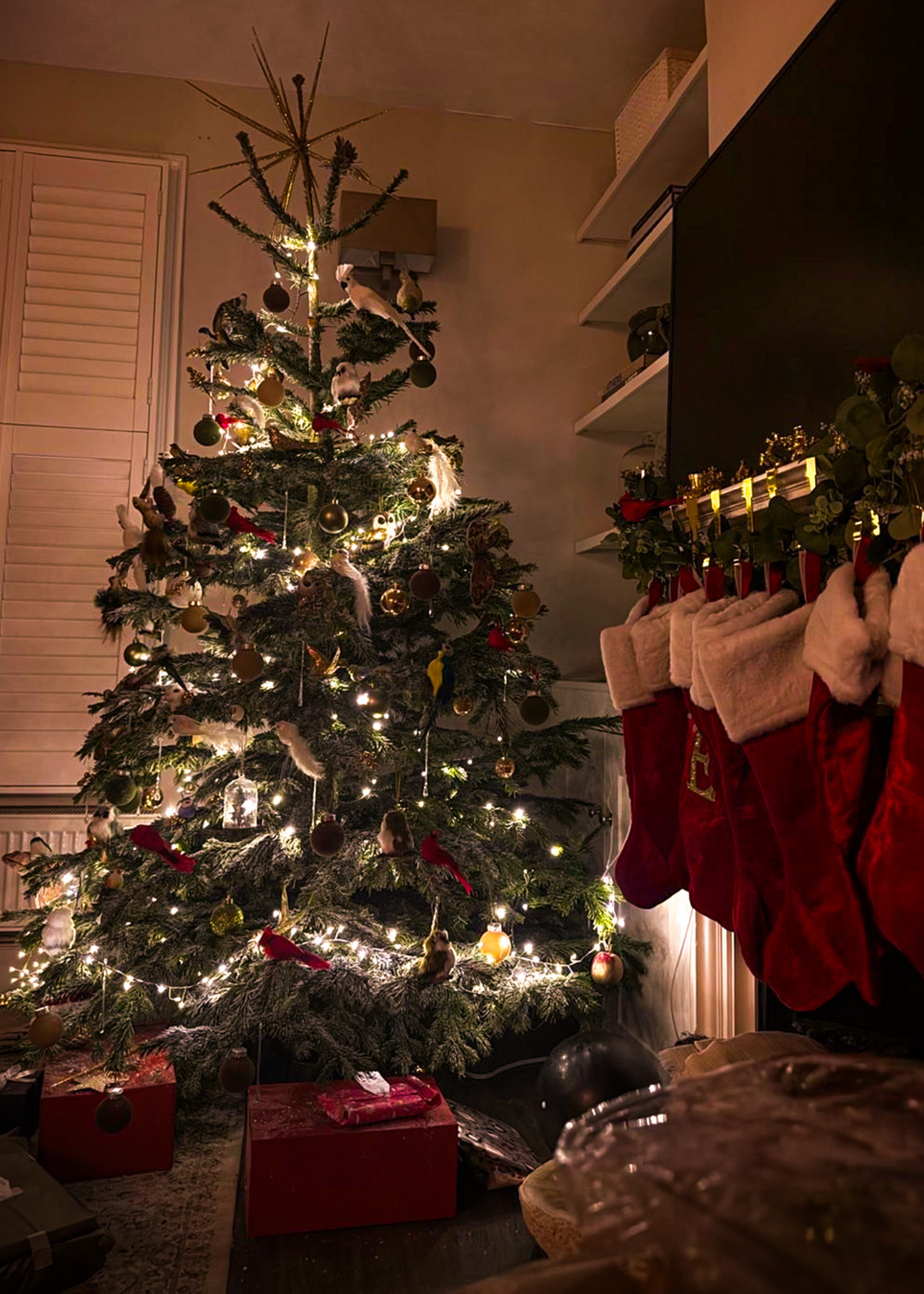 A living room decorated for christmas with a lrge christmas tree, mood lighting, presents and a row of red velvet stockings hanging from the mantelpiece