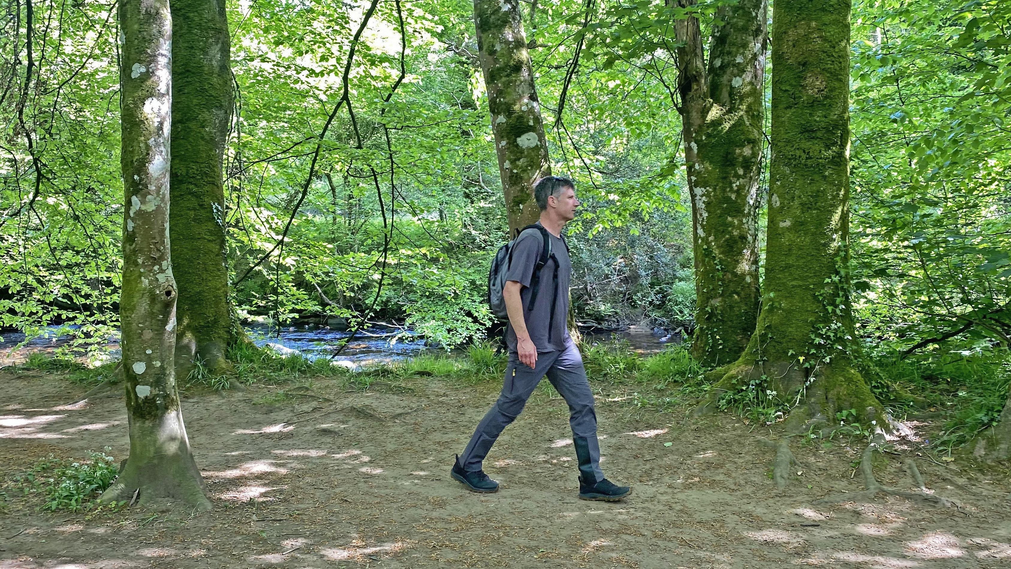 Hiker wearing the Haglofs LIM ZT Flex pants while walking through woods