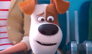Max in The Secret Life of Pets 2 trailer