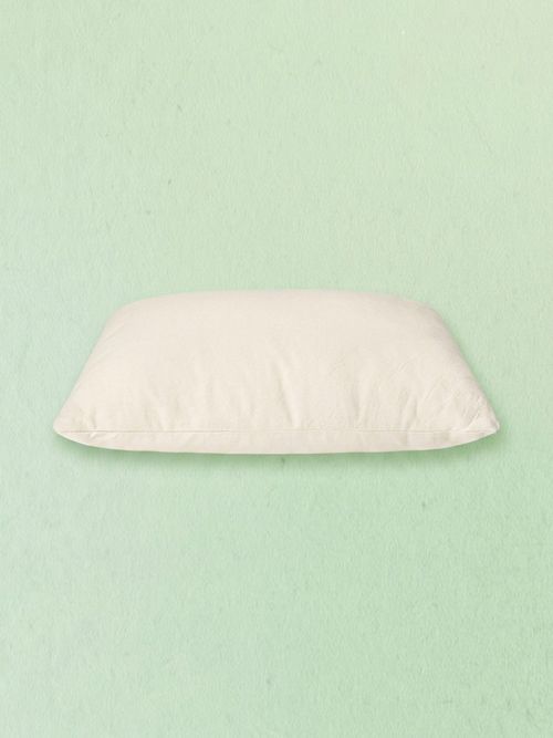 Organic Pillow