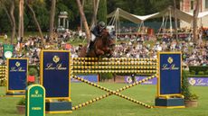 Top British showjumper John Whitaker pictured winning the six-bar challenge in Rome on stallion Green Grass