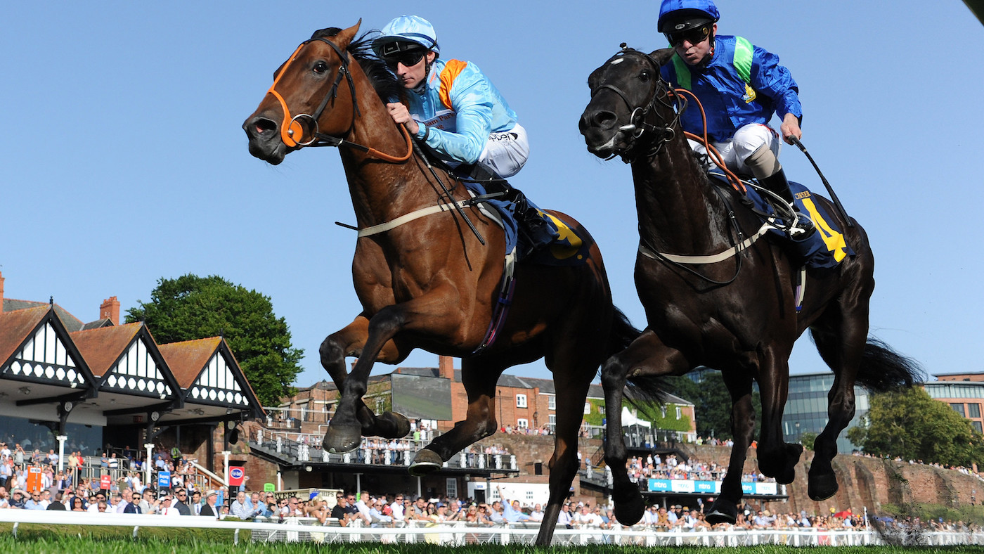Racecourse Covid testing has been mooted as a way of bringing back fans.