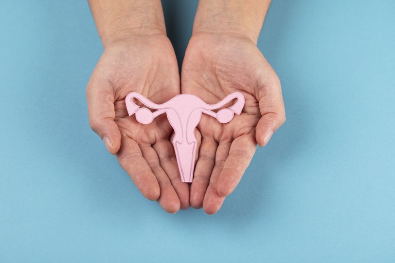 Female reproductive system in hands isolated on blue background, gynecologists, gynecology