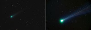 Comet ISON in Outburst