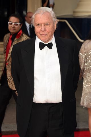 David Attenborough At The BAFTAs 2014