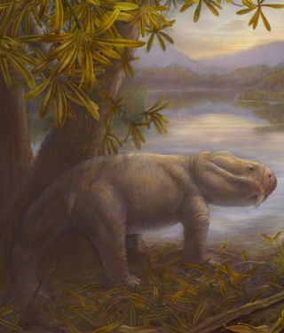 Dicynodon before the Permian extinction