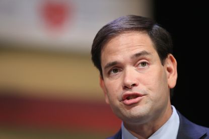 Marco Rubio