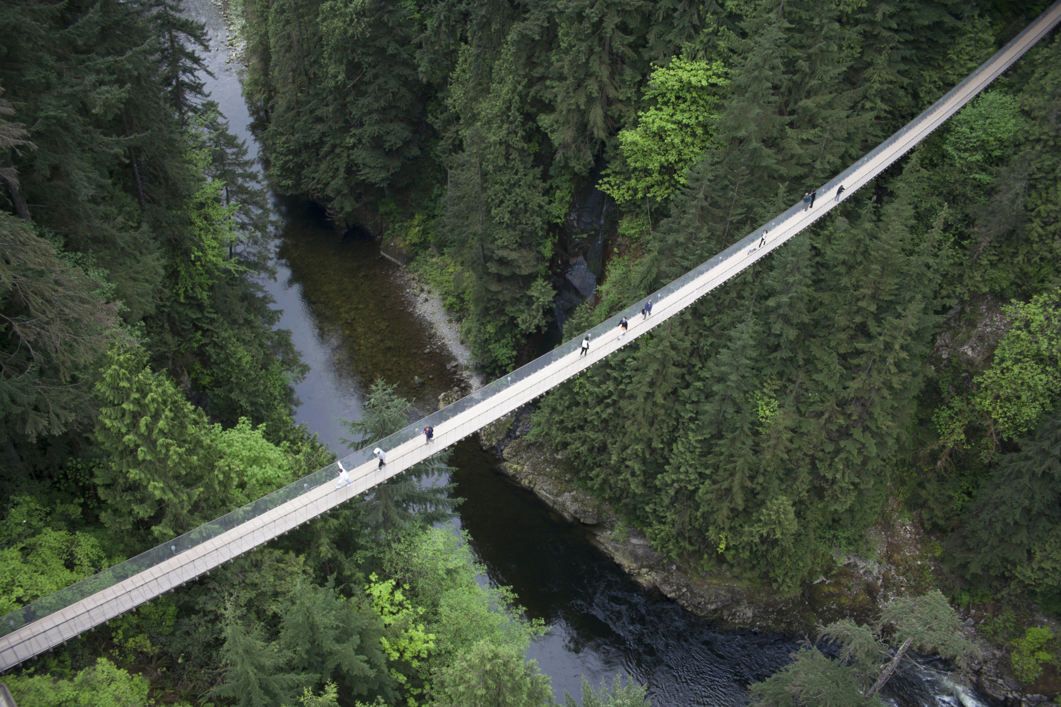 Aerial shot of Capilano Suspension Bridge with a creak below it and green forest on either side