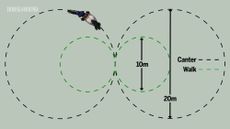 Diagram showing circles exercise for horse training