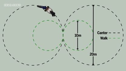 Diagram showing circles exercise for horse training