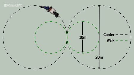 Diagram showing circles exercise for horse training