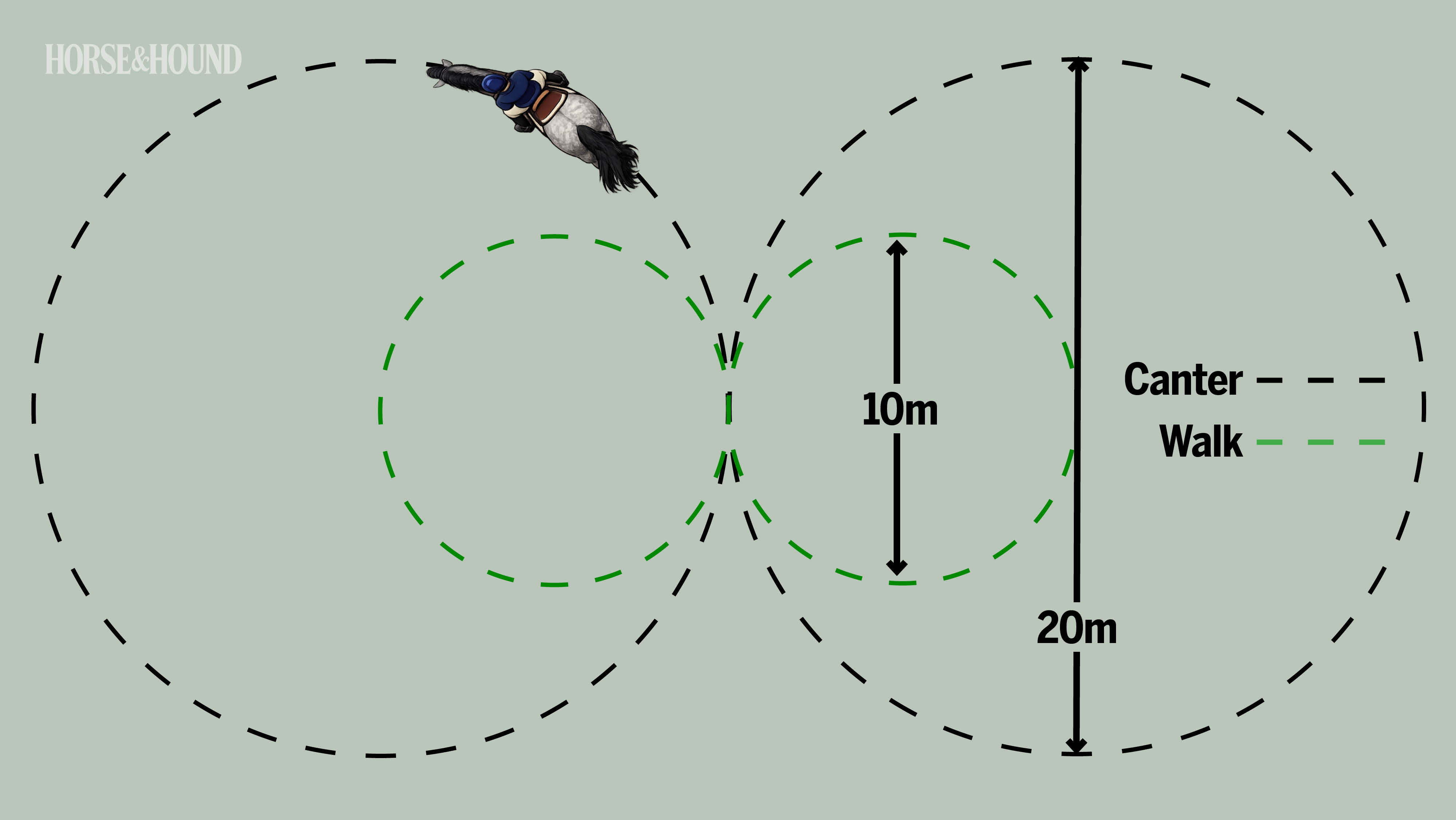 Diagram showing circles exercise for horse training
