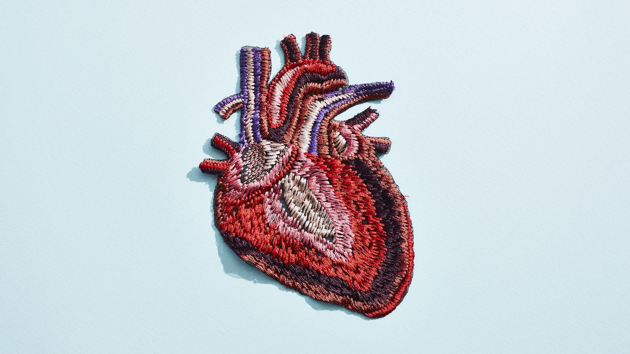 Heart quiz: What do you know about the body's hardest-working muscle?