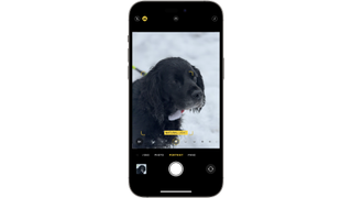 Camera in iPhone 15 Pro Max