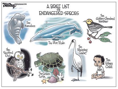 Editorial cartoon U.S. endangered species urban child