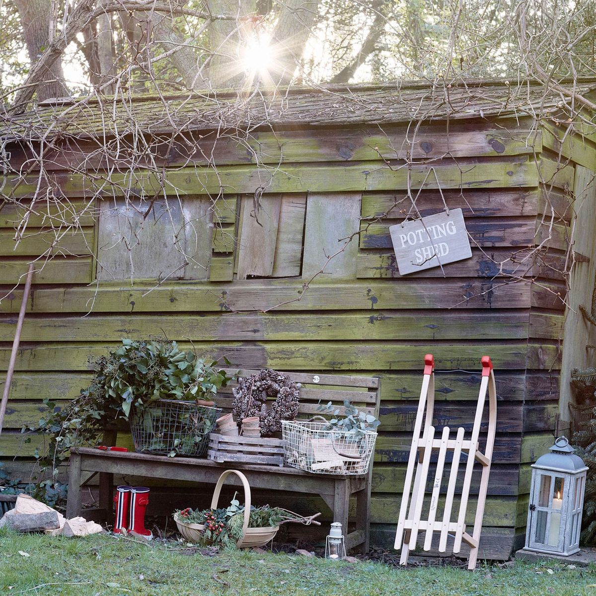 6 travaux de jardinage à faire en janvier 