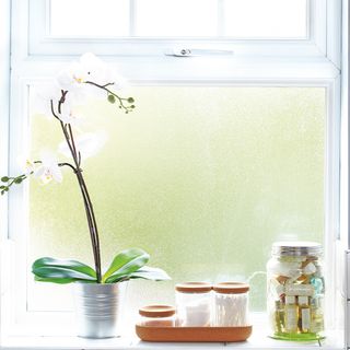 Bathroom windowsill with white orchid in metal pot beside storage jars