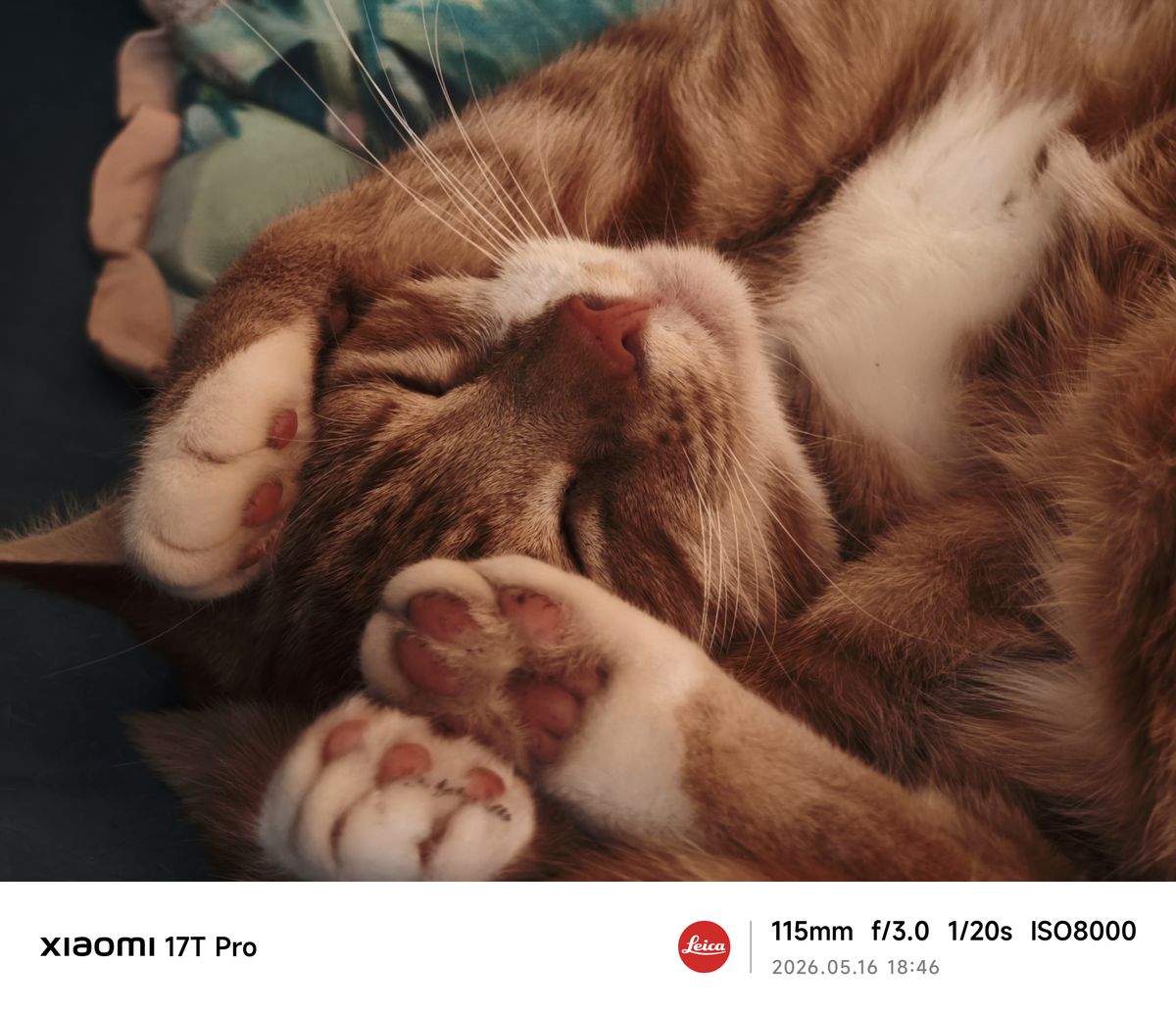 Sample photos from the Xiaomi 17 Pro cameras