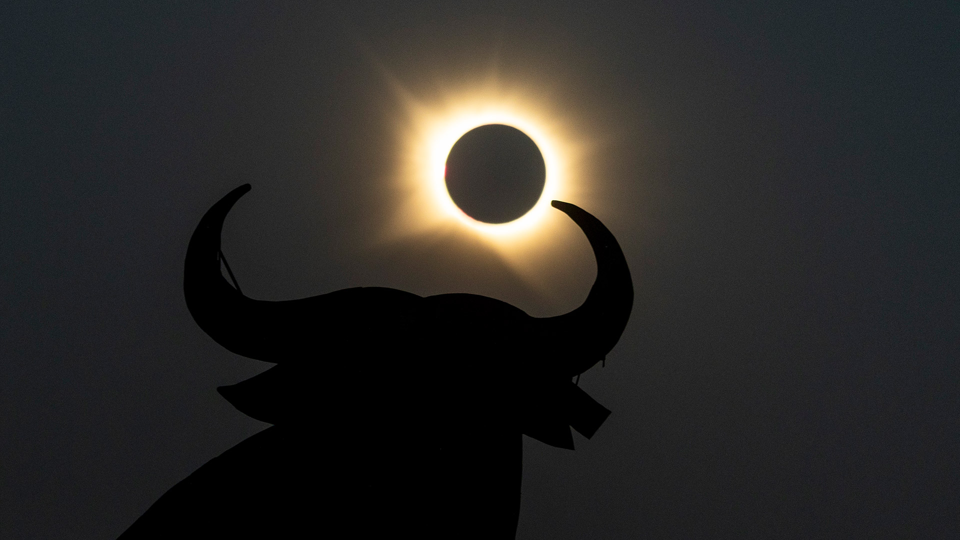 A view of the solar eclipse from behind the Osborne Bull statue in Spain