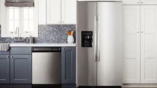 Amana ASI2575GRS 24.5 Cu. Ft. Side-by-Side Refrigerator