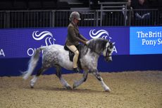 Uphill-James-Fox_Olympia_PN16_12379.jpg