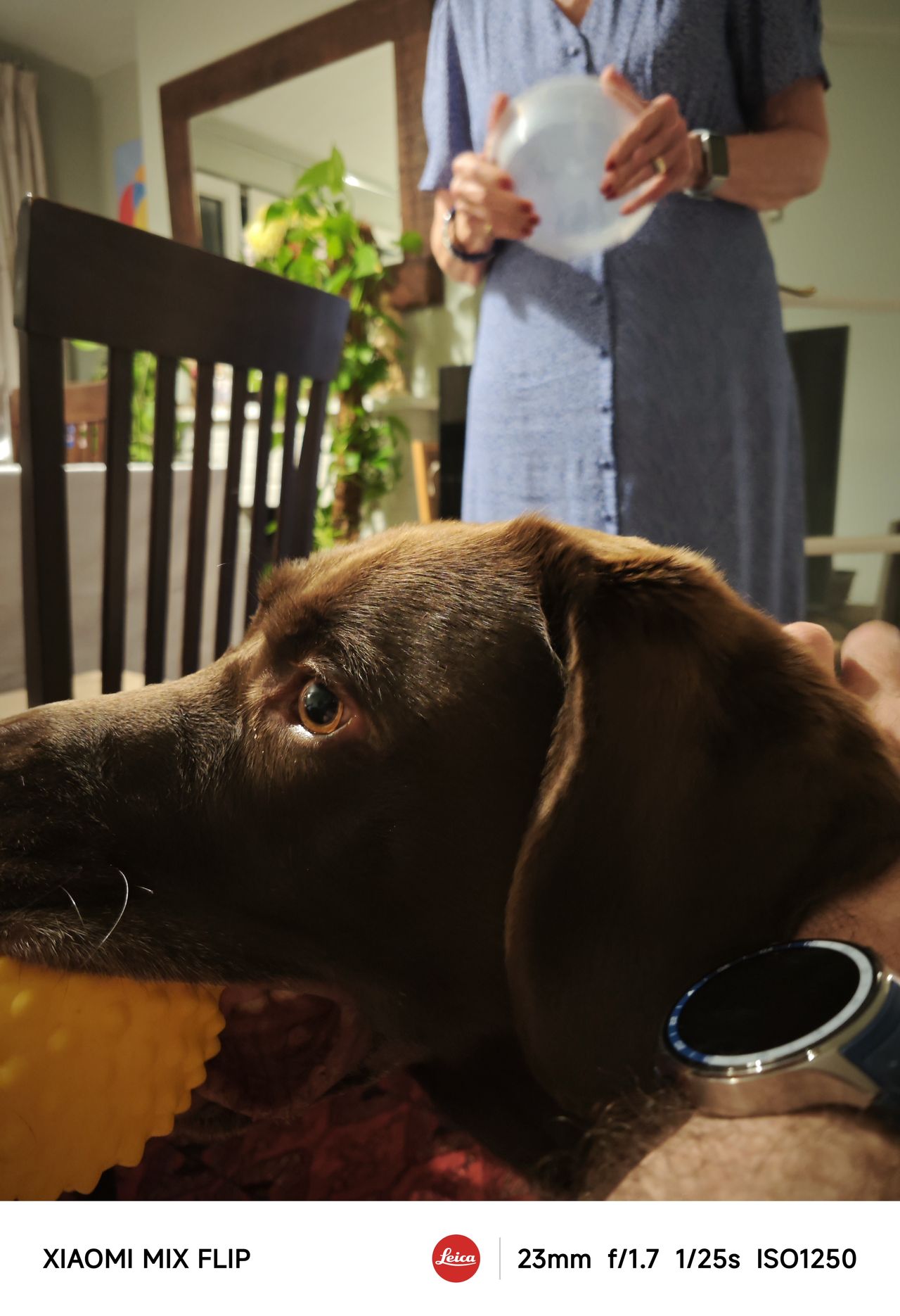 A photo captured on the Xiaomi Mix Flip
