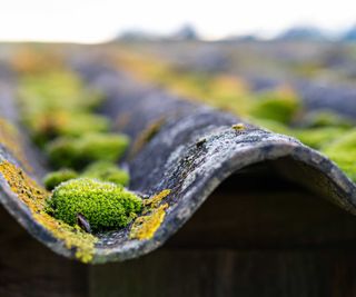 old asbestos garage roof with moss growth