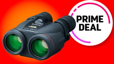 Canon 10x42 L IS WP
