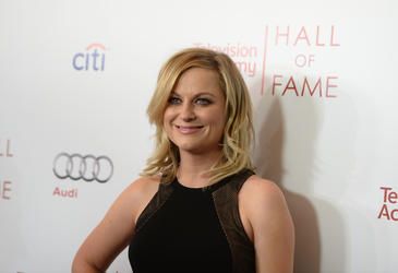 Amy Poehler teams up with brother for new show