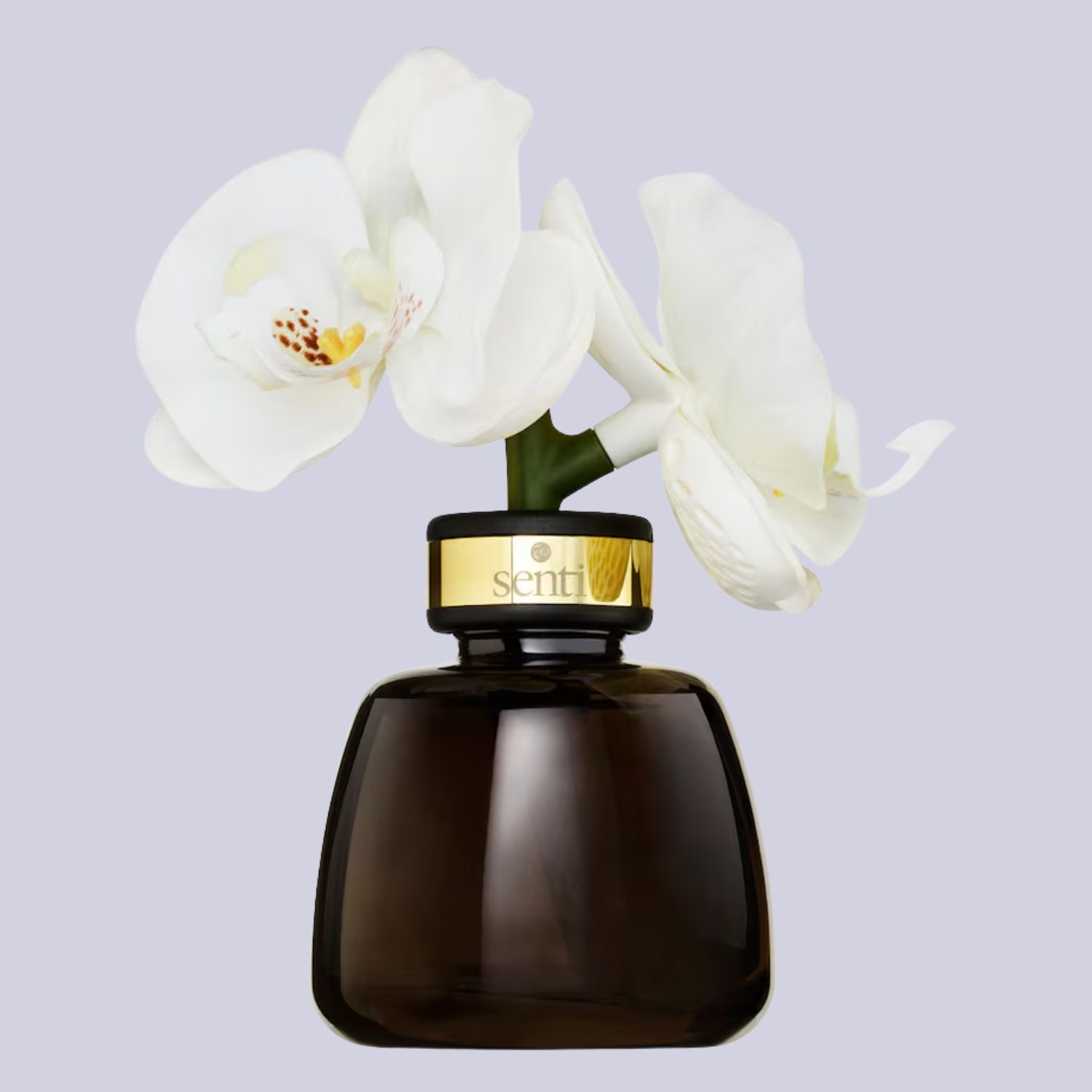 A short orchid-shaped diffuser
