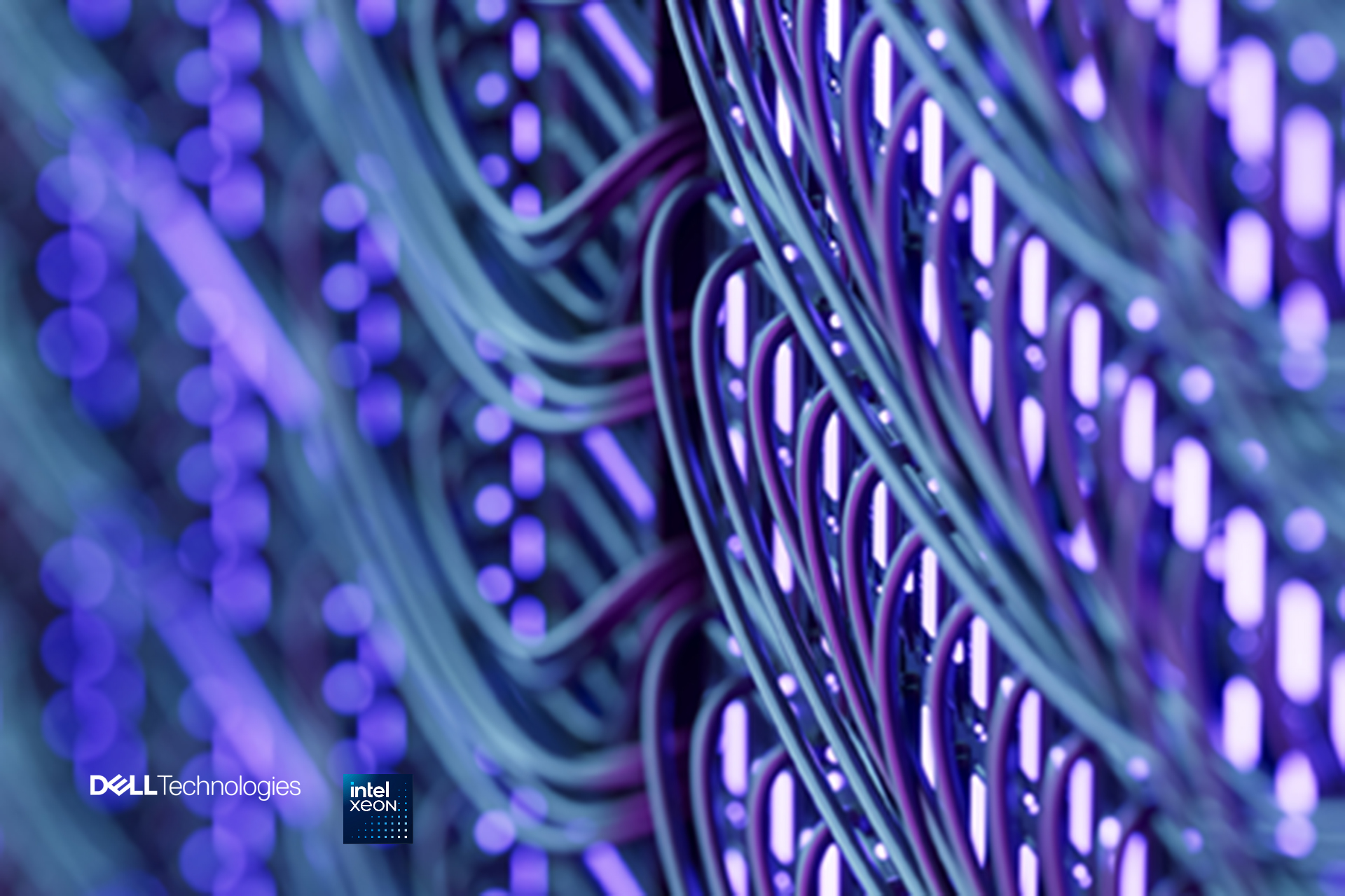 close-up of server cables