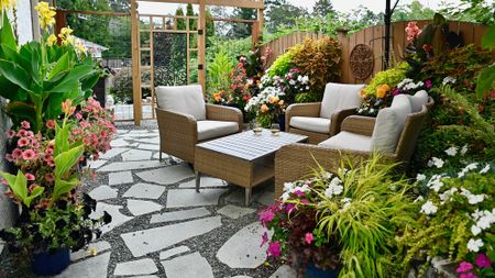 Patio area surrounded by plants