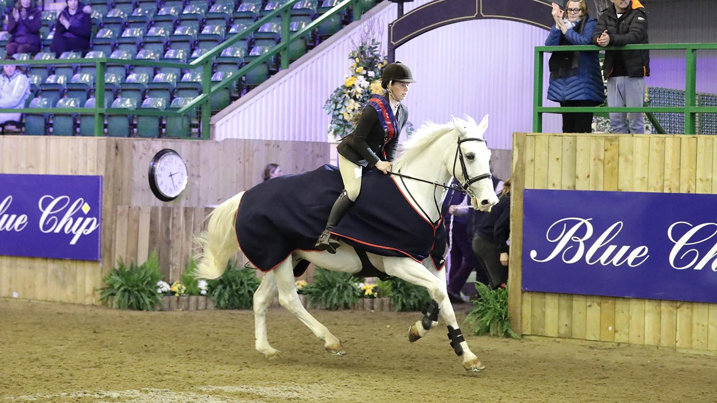 Blue Chip Winter Championships 2019 10_Done - FMBs Therapy Systems Star Championship 1 10m 0772 - Fools Business and Katie Shaw