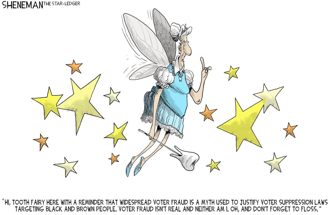 voter fraud fairy