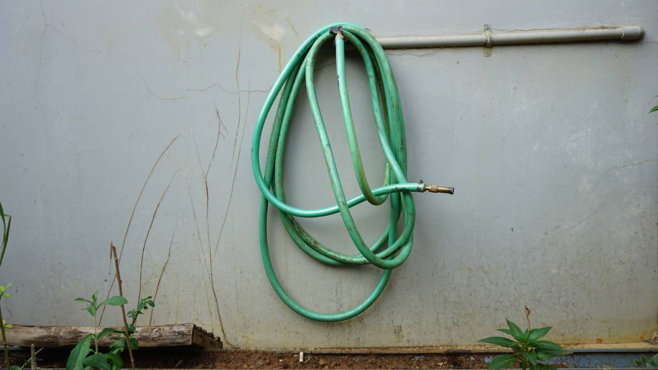 Old green garden hose hangs from tap on exterior wall