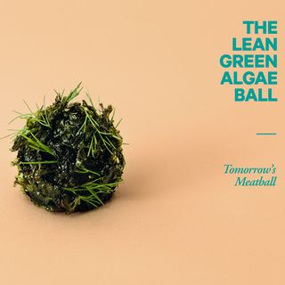 lean green algae meatball