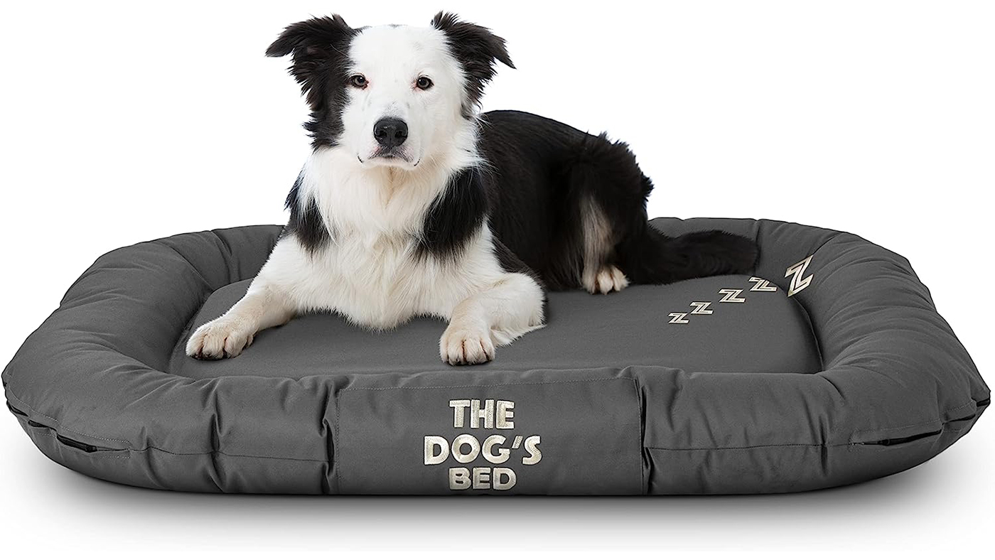 The Dog&amp;rsquo;s Bed Utility