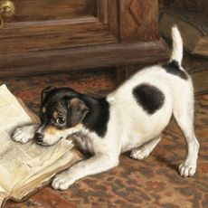 The Tearaway by Frank Paton