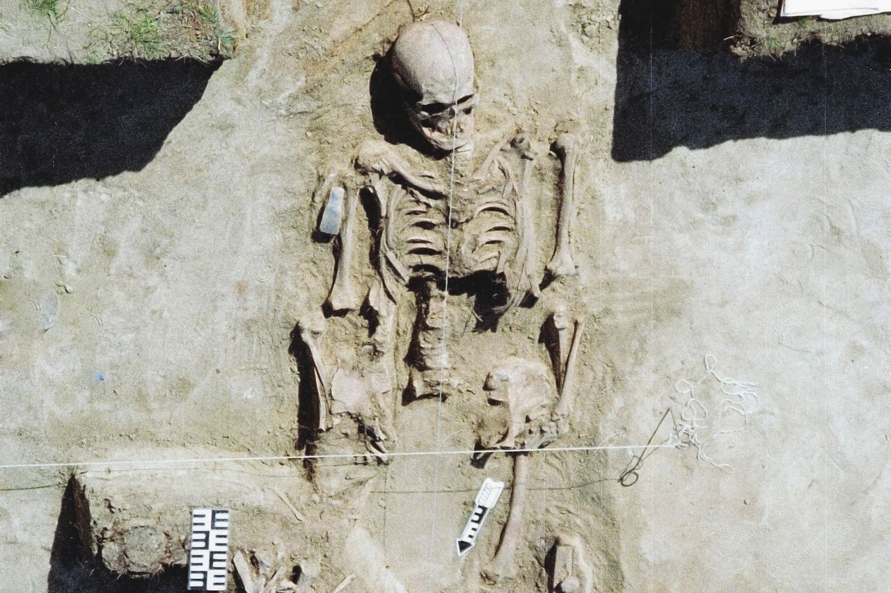 a closeup of a skeleton in a grave